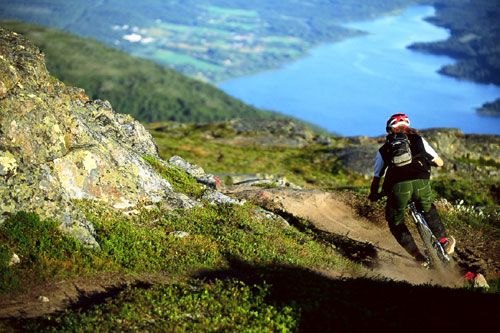 Photo: Mattias Fredriksson. Rider: Janne Tjärnström.