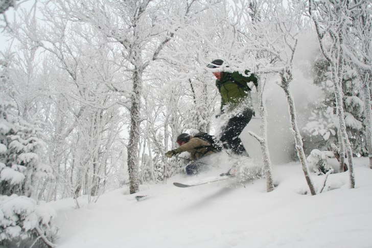Joel och Linus kör genom några granar.. Photo: Peter Karlbom. Rider: Joel Nyström, Linus Björk.
