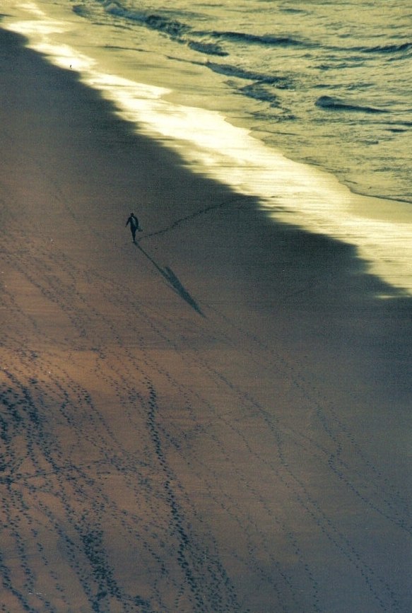 Photo: Gika. Rider: Tomas Almbo.