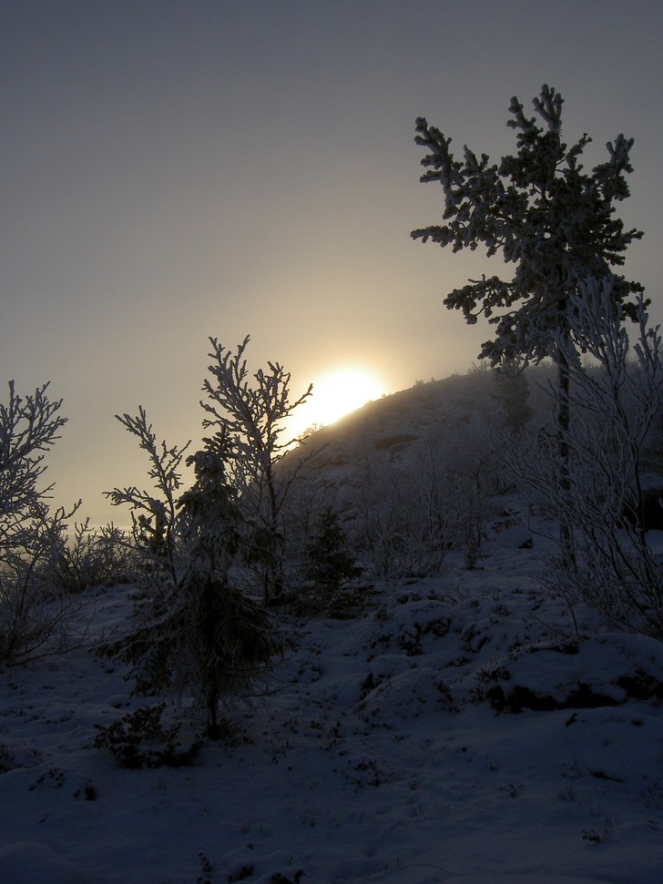 En tidig November morgon, solen kämpar för att n. Photo: Emma Karvonen.