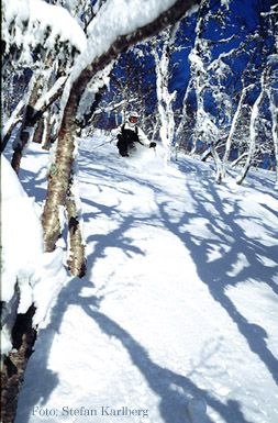 Photo: Stefan Karlberg. Rider: David Kantemo.
