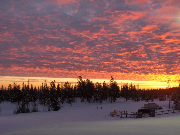 En morgon i Lindvallen.. Photo: Therése Kjellgren.
