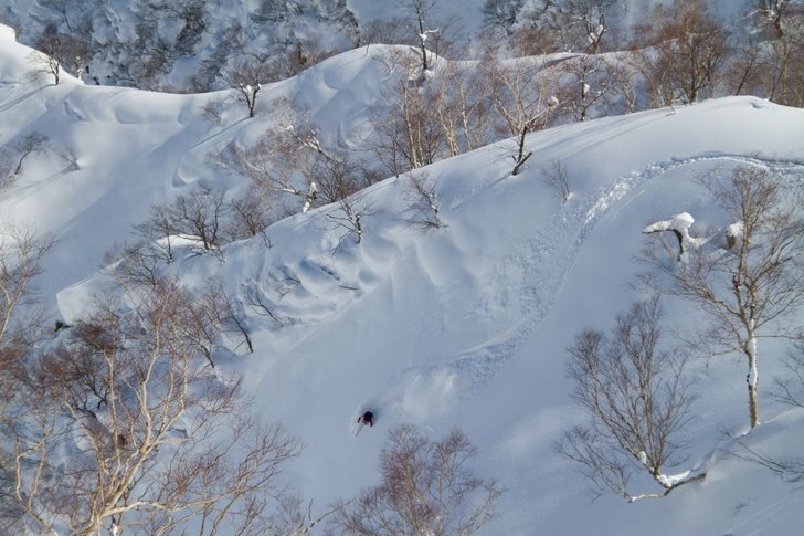 Photo: Mark Virgin. Rider: Kirstine Brørup Nielsen.
