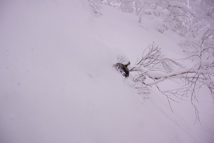 Deep Powder somewhere in Japan. Photo: Stuart. Rider: Andreas Ericson.