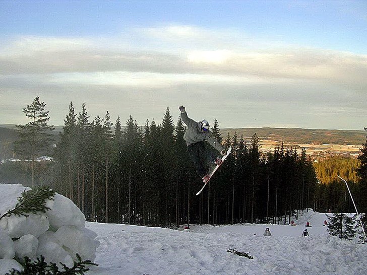 Romme. Photo: Robin Eriksson. Rider: Fredrik Löwenhamn.