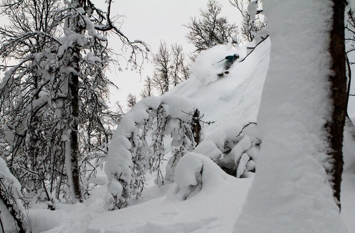 Photo: Olov Strandqvist. Rider: Daniel Harila.