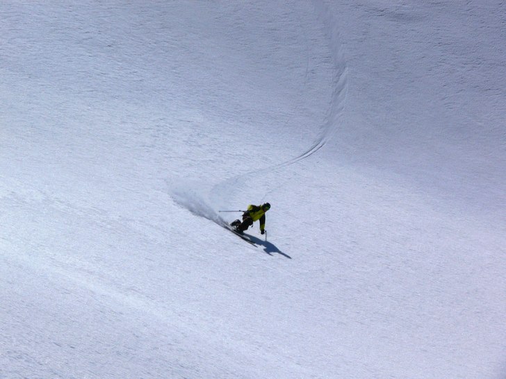 Photo: short dutch. Rider: arvid larsson.