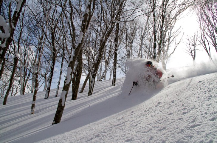 Photo: Powdermania.com. Rider: Erik Arvidsson.