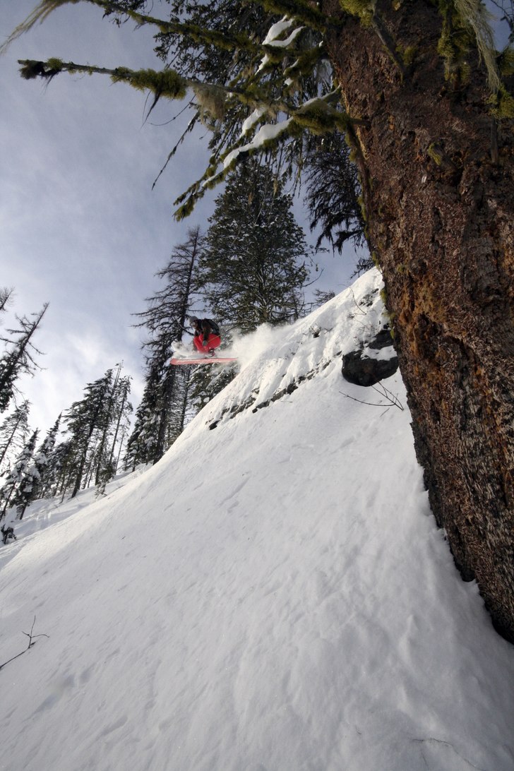 Photo: Henrik Karlsson. Rider: Tobias Gustafsson.