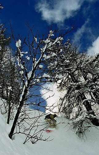 Photo: Annika Spongberg. Rider: Eric Spongberg.