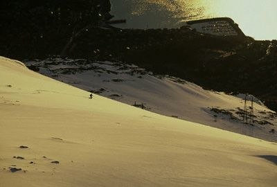 Photo: Johanna Carlsson. Rider: Erik Assum.