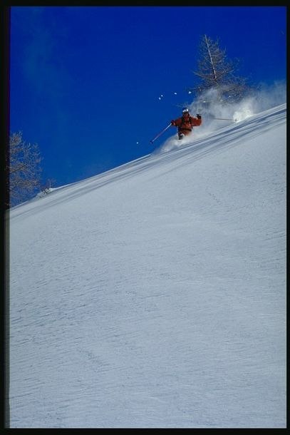 Photo: Henrik Björkenstam. Rider: Erik Palm.