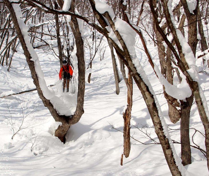 Photo: Adam Hanberger. Rider: Erik Arvidsson.