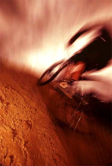 Photo: Therese Lundgren. Rider: Gareth Dyer.