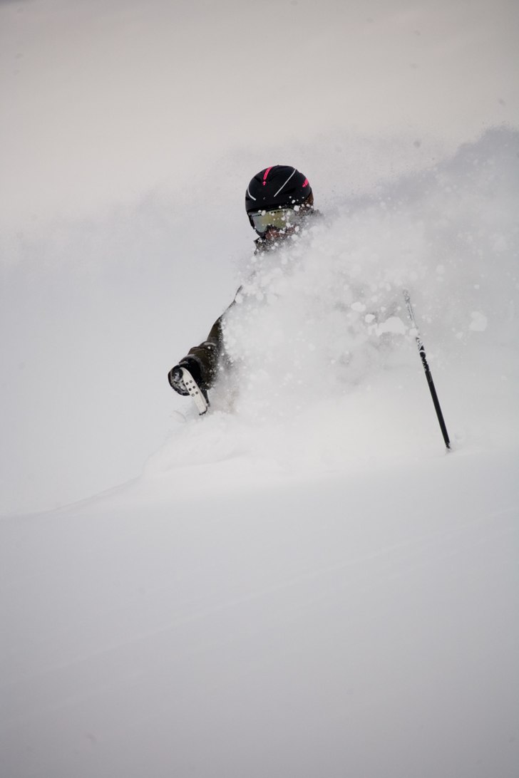 Puderfrossa.... Photo: www.felixoppenheim.com/. Rider: Mathias Burestam.