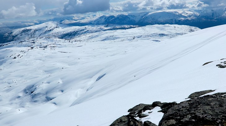 Photo: Anders Wingqvist.