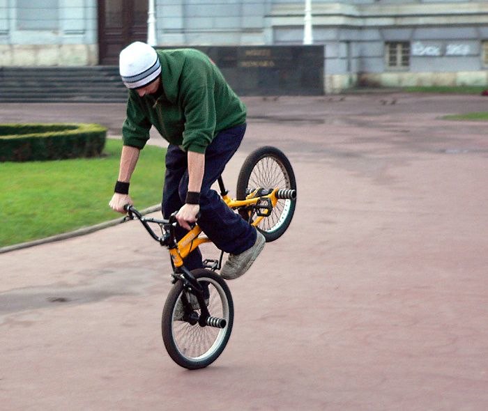 Noseweelie. Photo: Sammy Nystrand. Rider: Vet ej.