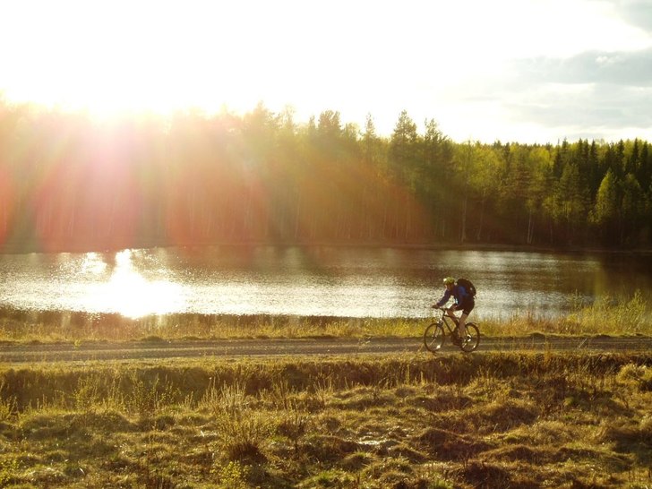 Vad vackert!. Photo: Johan Vall. Rider: Jens Häggström.