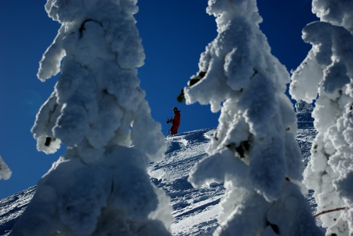 Photo: Johan Carlson.