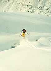 Photo: Fredrik persson. Rider: Henrik Ljung.