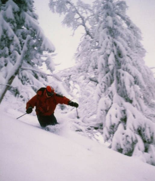 Photo: Jonathan Josefsson. Rider: Gustav Holmdahl.