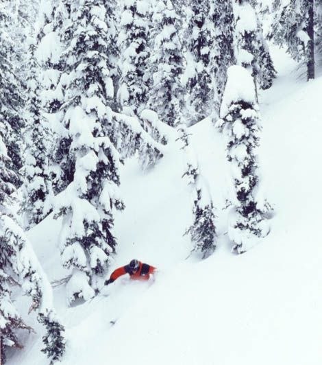 Photo: Shawn Morris. Rider: Håkan Palm.