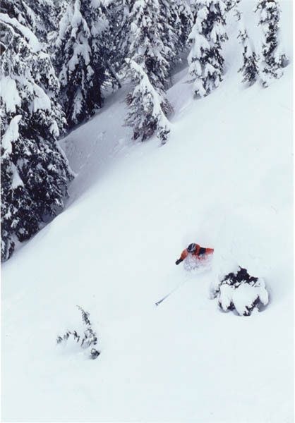 Photo: Shawn Morris. Rider: Håkan Plam.
