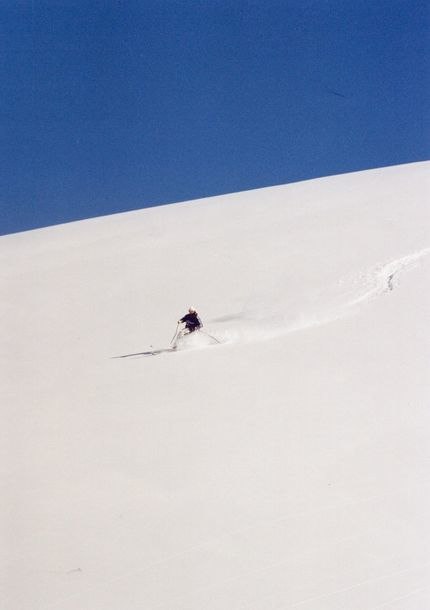 Photo: Philip Hammarsten. Rider: Håkan Walden.