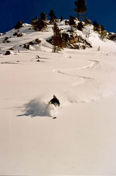 Photo: Philip Hammarsten. Rider: Håkan Walden.