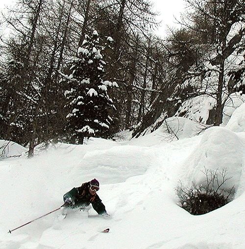 Photo: Johan Eklöv. Rider: Henrik Persson.