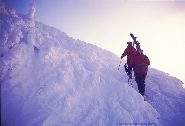 Photo: Stefan Karlberg. Rider: Okända.