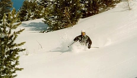 Photo: Johan Öhlund. Rider: jesper Rutgersson.