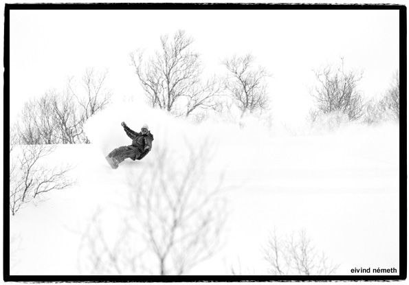 Photo: Eivind Nemeth. Rider: Kai Arne Lien.