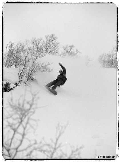 Photo: Eivind Nemeth. Rider: Kai Arne Lien.