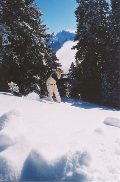Photo: Philip Hammarsten. Rider: Kathrine Hansen.