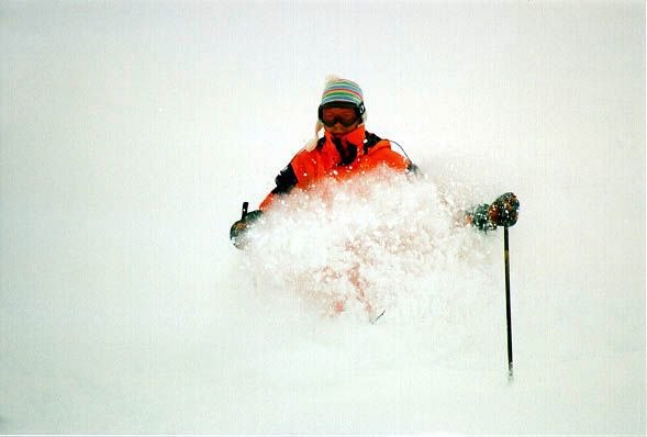 Rider: Kristofer Liljeblad.