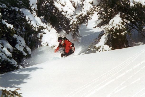Photo: Martin Magnusson. Rider: Kristoffer Windolf.