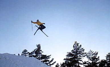 Photo: Martin Ekman. Rider: Micael Olofsson.