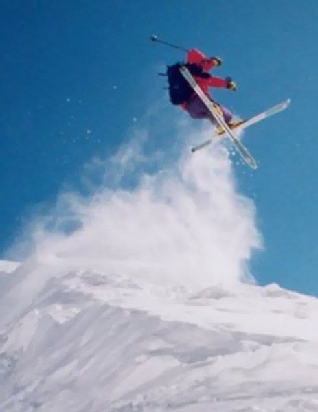 Photo: Liselott Kutscher. Rider: Niklas Brunefeldt.