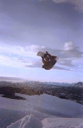Photo: Øystein Aas. Rider: Olav Bjørkum.