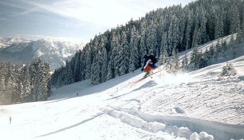 Photo: VIlhelm Öberg. Rider: Patrik Lundberg.