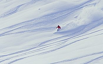 Photo: Per Liljeholm. Rider: Okänd fransos.