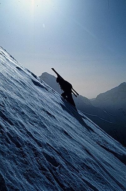Photo: Ketil Isaksen. Rider: Per Ivar Lied.