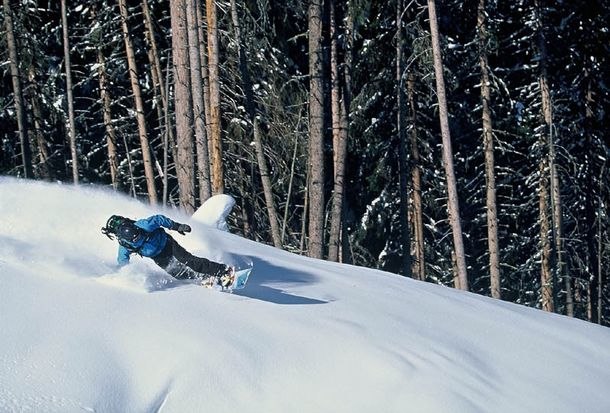 Photo: Fredrik Schenholm. Rider: Pontus Andersson.