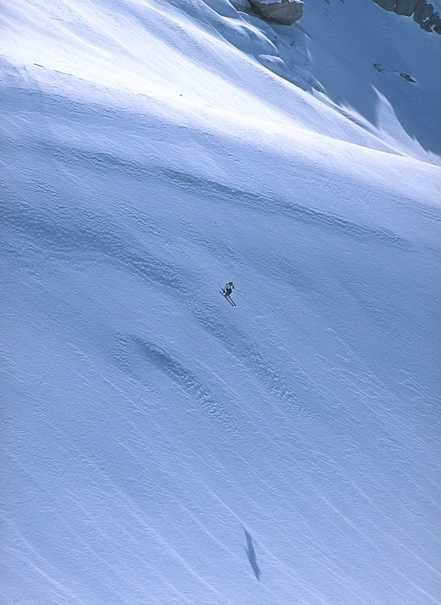 Photo: Alexander Klun. Rider: Sverre Liljeqvist.