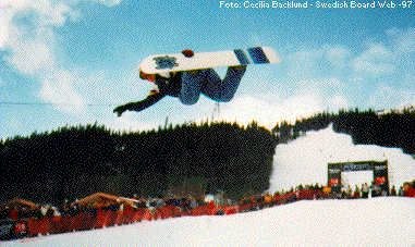 Photo: Cecilia Backlund. Rider: Terje Haakonssen.