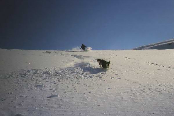 Photo: Greger N. Rider: Tjucke.
