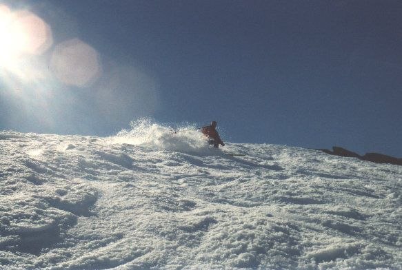 Rider: Tommy Bergqvist.