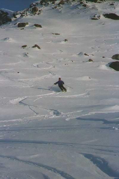 Photo: Greger. Rider: Ulrika Nilsson.