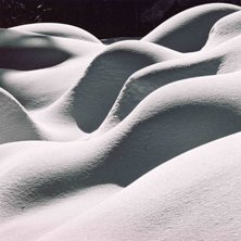 Photo: Fredrik Johansson.